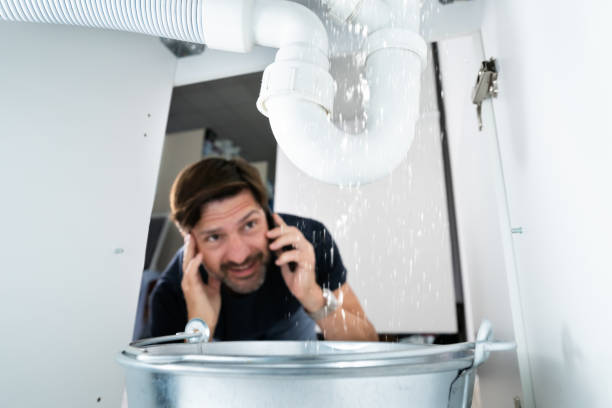 Best Residential Plumbing Services  in Mckinley, PA