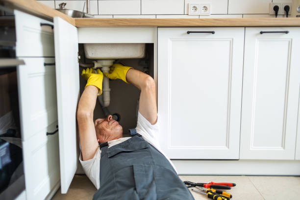 Best Clogged Drain Plumber  in Mckinley, PA